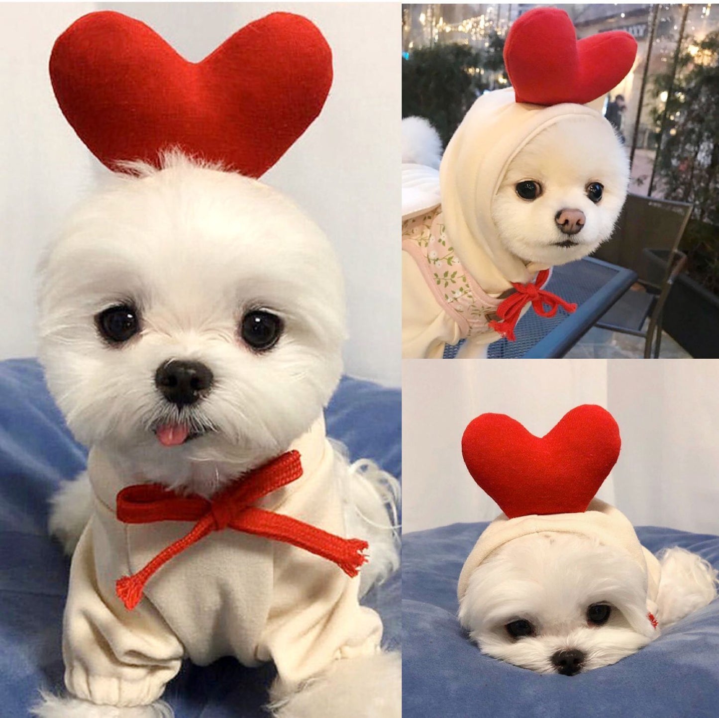 Cute Fruit Dog Hoodie – Warm Winter Pet Clothes