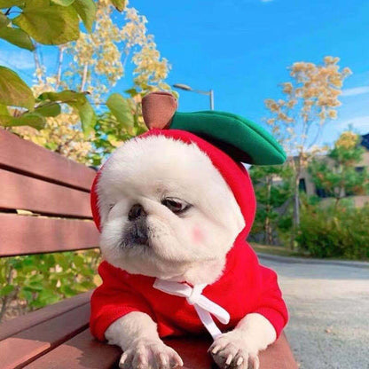Cute Fruit Dog Hoodie – Warm Winter Pet Clothes
