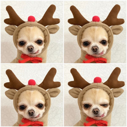 Cute Fruit Dog Hoodie – Warm Winter Pet Clothes