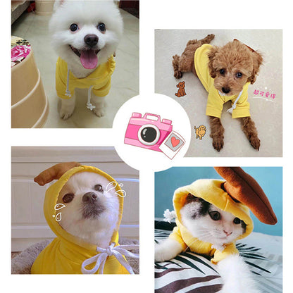 Cute Fruit Dog Hoodie – Warm Winter Pet Clothes